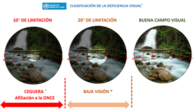 baja_vision_grafico_2
